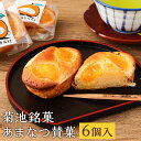 【ふるさと納税】菊池銘菓 あまなつ賛菓 6個入 1箱 スイーツ デザート タルトケーキ 甘夏 柑橘 個包装 お菓子 焼き菓子 送料無料