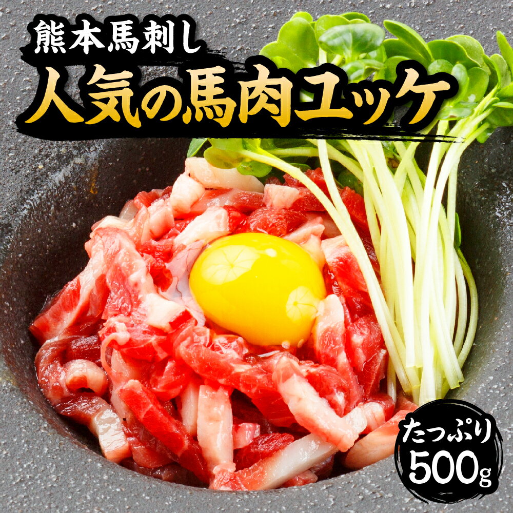 【ふるさと納税】【馬刺し】熊本 人気の馬肉ユッケ たっぷり 500g 10人前 50g×10パック 専用タレ付き ..