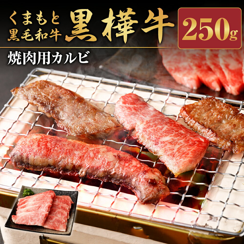 くまもと黒毛和牛 黒樺牛 A4〜A5等級 焼肉用カルビ 250g 牛肉 牛 霜降り 赤身 お肉 焼き肉 BBQ 黒毛和牛 国産 九州産 熊本県産 冷凍 送料無料