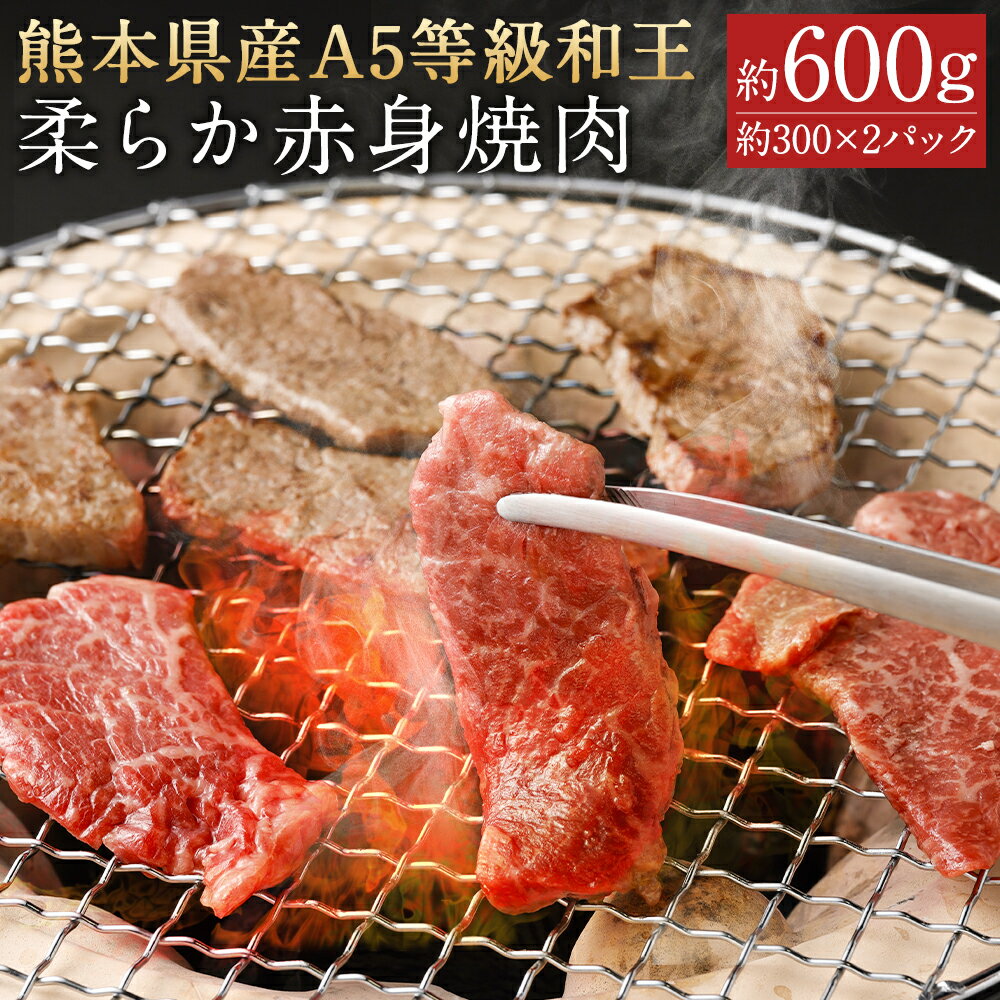 熊本県産A5等級和王 柔らか赤身焼肉 合計約600g 約300×2パック 和牛 赤身 焼き肉 お肉 精肉 九州産 国産 冷凍 送料無料