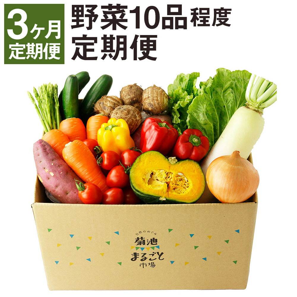 [定期便 計3回] 野菜 10品程度 [メロンドーム] 定期便 3ヶ月お届け 詰め合わせ セット 国産 九州産 熊本県 菊池市 道の駅 送料無料