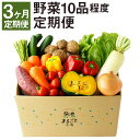 【ふるさと納税】【定期便 計3回】 野菜 10品程度 【メロ