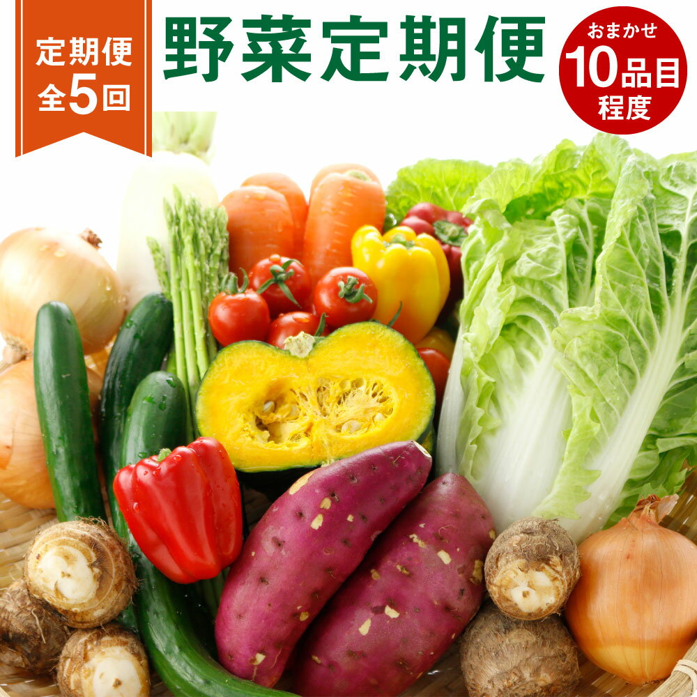 [定期便5回]野菜定期便 10品程度[メロンドーム] 野菜 詰め合わせ セット 品種おまかせ ランダム 定期便 5ヶ月お届け 送料無料