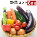 【ふるさと納税】野菜セット 8品【養生市場】 詰め合わせ セ