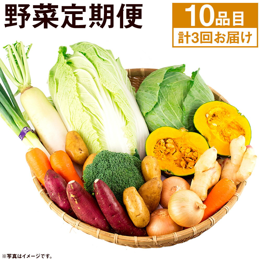 旬の野菜定期便 計3回 旬の野菜 10品[養生市場] 定期便 品種おまかせ ランダム 3ヶ月お届け 計3回 詰め合わせ セット 野菜 九州産 熊本県産 送料無料