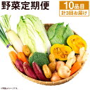 旬の野菜定期便 計3回 旬の野菜 10品 定期便 品種おまかせ ランダム 3ヶ月お届け 計3回 詰め合わせ セット 野菜 九州産 熊本県産 送料無料