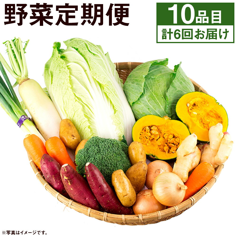 【ふるさと納税】旬の野菜定期便 計6回 旬の野菜 10品【養