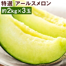 【ふるさと納税】特選 アールスメロン 約2kg×3玉 合計約6kg【養生市場】 メロン 果物 フルーツ マスクメロン 九州産 熊本県産 送料無料【2025年10月中旬頃より順次発送予定】