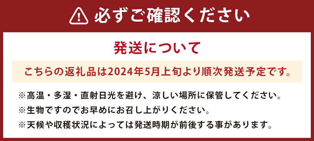 【ふるさと納税】肥後グリーンメロン 2玉 4L以上【メロンドーム】 メロン 果物 フルーツ 九州産 熊本県産 送料無料【2024年5月上旬より順次発送予定】