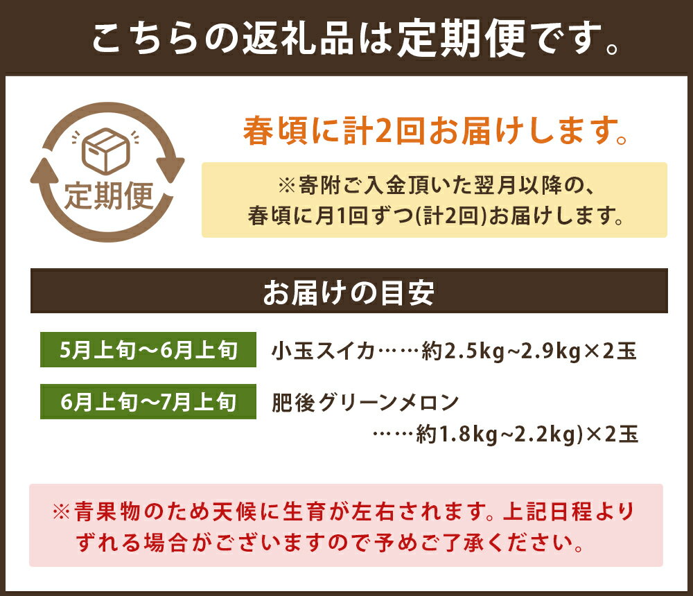 【ふるさと納税】春のフルーツ便 定期便【養生市場】 各2玉 小玉スイカ 肥後グリーンメロン 2回発送 メロン 西瓜 果物 フルーツ 九州産 熊本県産 送料無料【2024年5月上旬より順次発送予定】