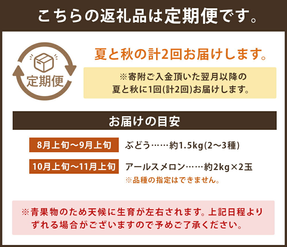 【ふるさと納税】旬のフルーツ便E【養生市場】 定期便 ぶどう詰め合わせ約1.5kg メロン約2kg×2玉 2回発送 葡萄 果物 フルーツ 九州産 熊本県産 送料無料【2024年8月上旬より順次発送予定】