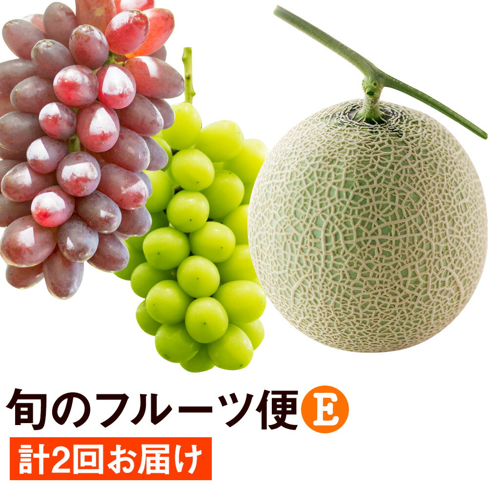 旬のフルーツ便E【養生市場】 定期便 ぶどう詰め合わせ約1.5kg メロン約2kg×2玉 2回発送 葡萄 果物 フルーツ 九州産 熊本県産 送料無料【2024年8月上旬より順次発送予定】