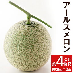 【ふるさと納税】アールスメロン 約2kg×2玉 合計約4kg【養生市場】 メロン 果物 フルーツ マスクメロン 九州産 熊本県産 送料無料 《2025年10月中旬頃より順次発送予定》