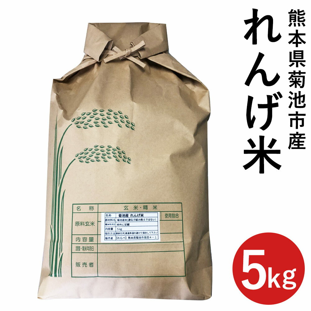 熊本県菊池市産のれんげ米 5kg お米 白米 精米 レンゲ米 熊本県産 九州産 送料無料