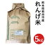 【ふるさと納税】熊本県菊池市産のれんげ米 5kg お米 白米 精米 レンゲ米 熊本県産 九州産 送料無料