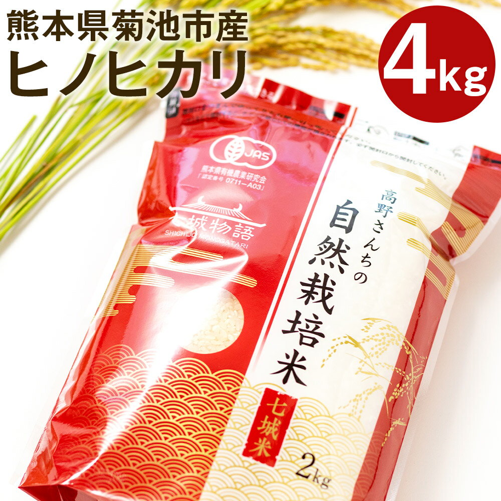 熊本県菊池産 ヒノヒカリ 白米 合計4kg 2kg×2パック 令和5年産 七城物語 高野さんちの自然栽培米 精米 米 お米 自然栽培米 特A 国産 九州産 熊本県産 送料無料