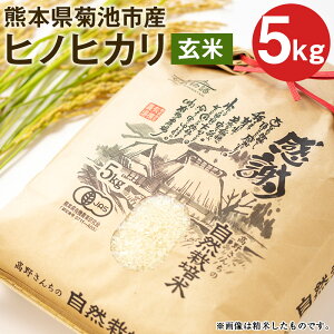 【ふるさと納税】熊本県菊池産 ヒノヒカリ 玄米 5kg 令和5年産 七城物語 高野さんちの自然栽培米 米 お米 自然栽培米 特A 国産 九州産 熊本県産 送料無料