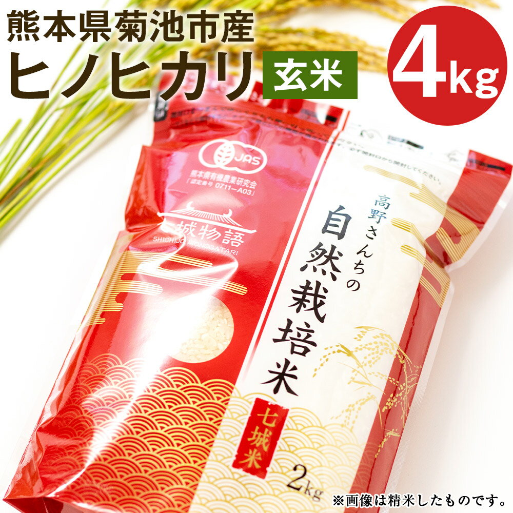 熊本県菊池産 ヒノヒカリ 玄米 合計4kg 2kg×2パック 令和5年産 七城物語 高野さんちの自然栽培米 米 お米 自然栽培米 特A 国産 九州産 熊本県産 送料無料