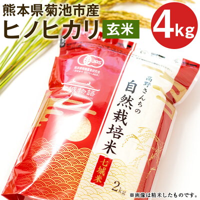 楽天ふるさと納税 【ふるさと納税】熊本県菊池産 ヒノヒカリ 玄米 合計4kg 2kg×2パック 令和6年産 七城物語 高野さんちの自然栽培米 米 お米 自然栽培米 特A 国産 九州産 熊本県産 送料無料