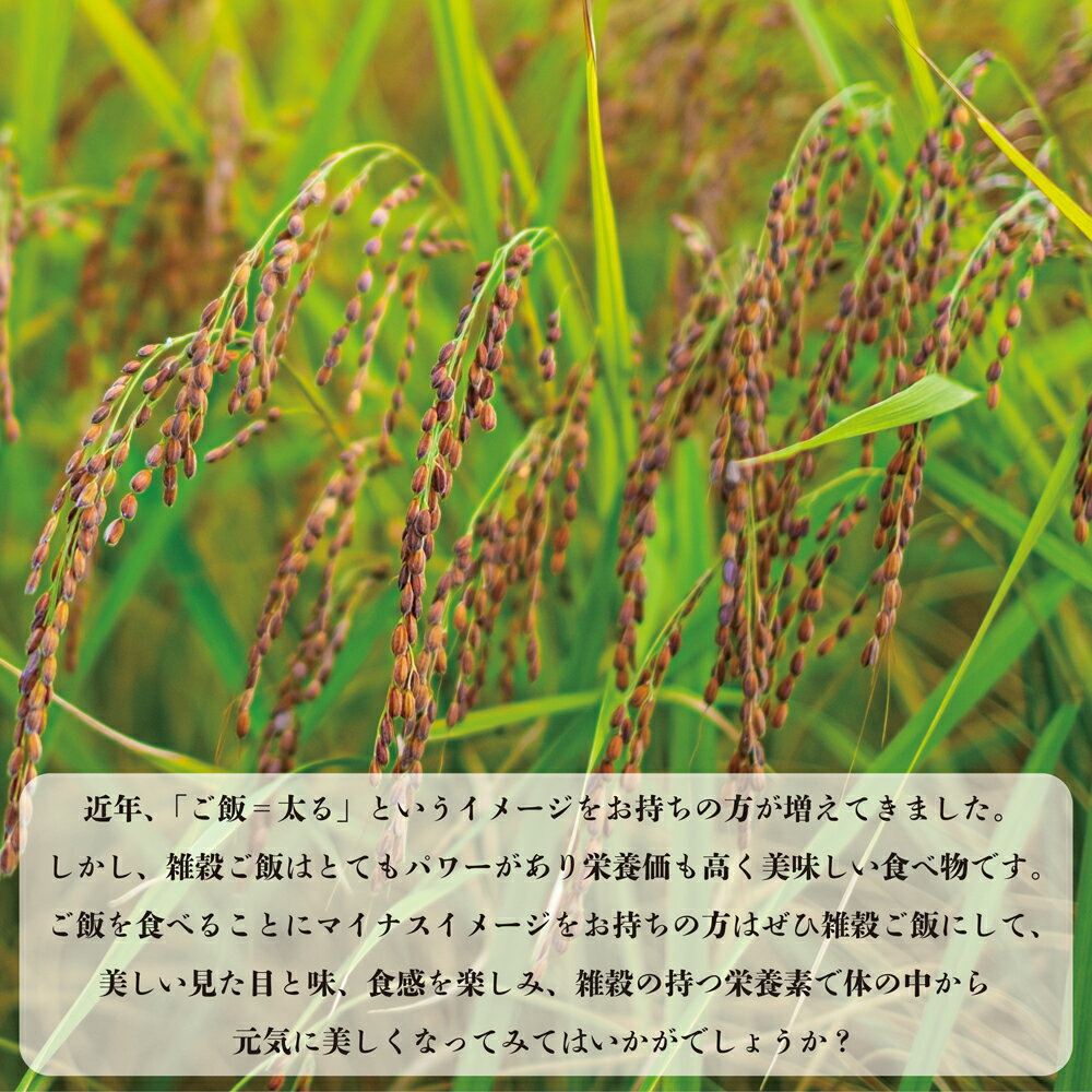 【ふるさと納税】熊本県産 有機赤米 玄米 合計900g 180g×5パック 令和5年産 七城物語 古代米 雑穀 雑穀米 国産 九州産 送料無料