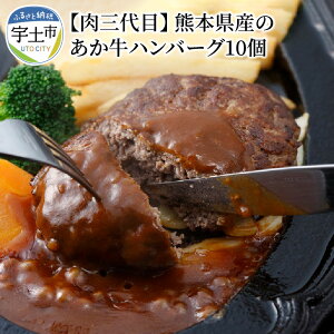 【ふるさと納税】ハンバーグ 冷凍 手作り 150g×10個 1.5kg 国産 牛肉 あか牛 和牛 褐毛和牛 国産和牛 熊本県産 肉三代目 ジューシー 柔らか 美味しい 肉感 おかず 弁当 惣菜 加工品 肉加工品 お取り寄せ グルメ 高評価 送料無料【熊本県宇土市】