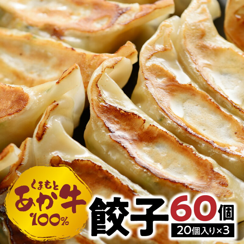 【ふるさと納税】餃子 60個 ( 20個 入り × 3) G