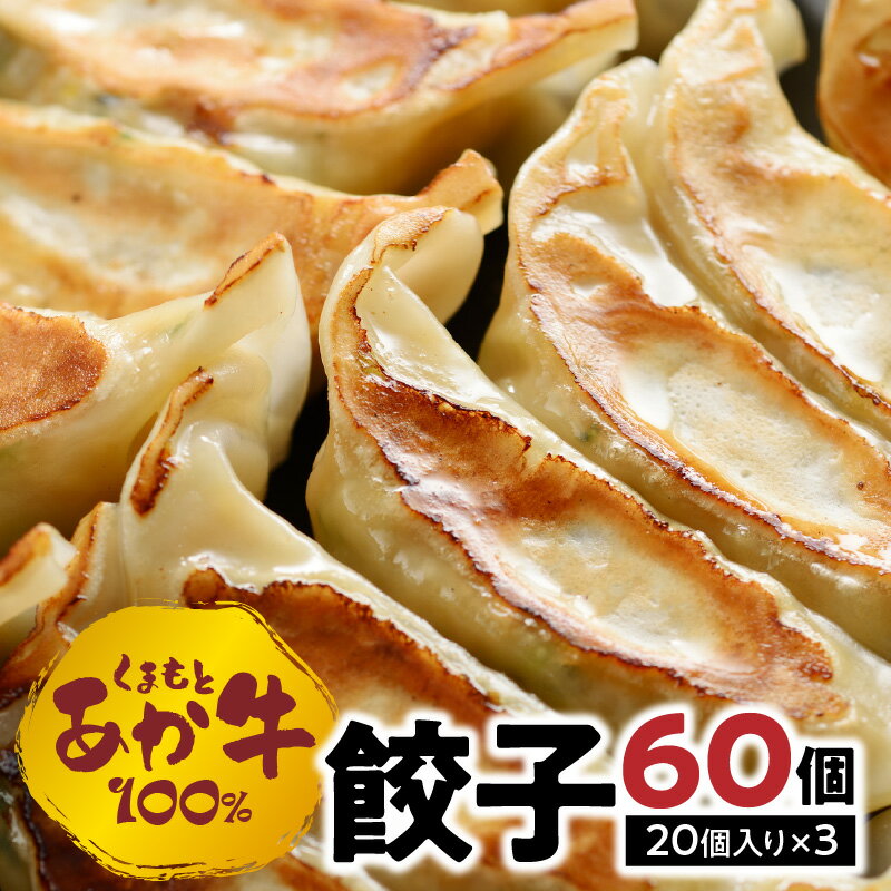 餃子 60個 ( 20個 入り × 3) GI認定 くまもとあか牛 100% 国産 野菜 おかず 味千ラーメン 重光産業 共同開発 中村屋 食品 お取り寄せ お取り寄せグルメ 冷凍 送料無料[熊本県宇土市]