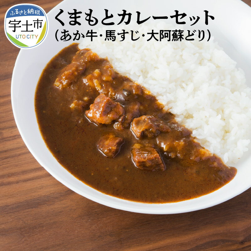 26位! 口コミ数「0件」評価「0」 カレー カレーセット あか牛 馬すじ 大阿蘇どり 化学調味料不使用 保存料不使用 着色料不使用 詰め合わせ 熊本【熊本県宇土市】