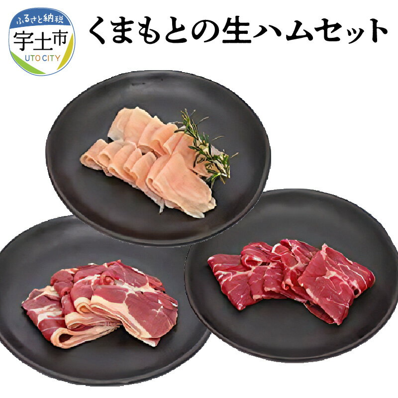 【ふるさと納税】生ハム 馬肉 牛肉 鶏肉 熟成 セット おつまみ トッピング 熊本 【熊本県宇土市】