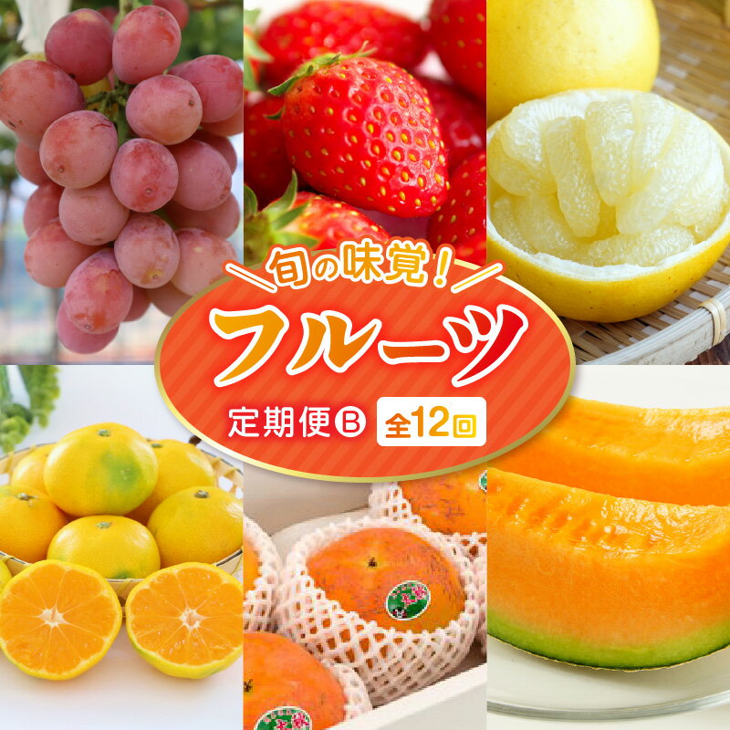 【ふるさと納税】数量限定 先行予約 フルーツ 果物 旬の味覚