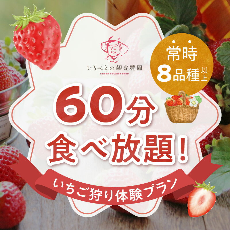 【ふるさと納税】いちご狩り 体験 大人 2名様分 60分 食べ放題 プラン 大人数 子供 ぽりっちご みくのか 章姫 ほしうらら よつぼし 紅ほっぺ すず スターナイト おいCベリー 常時 8品種以上 じろべえの観光農園 直売所 いちごスイーツ デザート 【熊本県宇土市】 2