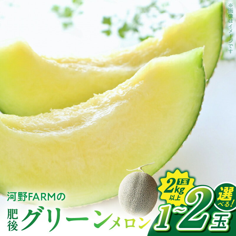 【ふるさと納税】肥後 グリーンメロン 選べる 1玉 2玉 メロン農家 三代目 河野FARM 自慢 メロン 果肉 やわらかい 果汁 糖度 15度 ~ 18度 以上 とても甘い 自慢 一品 濃厚 甘さ フルーツ くだもの デザート お取り寄せ【熊本県宇土市】