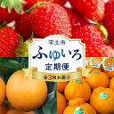 【ふるさと納税】ふゆいろ定期便 3ヶ月 デコポン 約2kg 完熟いちご 約600g 網田ネーブル 約5kg フルーツ 柑橘 ジューシー いちご 糖度12度以上 ネーブル オレンジ ビタミン ミネラル 果物 冬 味覚 旬 お取り寄せ お取り寄せフルーツ 送料無料 【熊本県宇土市】
