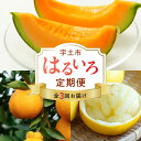 【ふるさと納税】はるいろ定期便 3ヶ月 不知火 約3kg パール柑 約5kg 高級 オレンジハート 2玉 フルーツ 柑橘 メロン 濃厚 甘み 酸味 食べやすい ビタミンC 爽やか 赤肉系メロン まろやか 果物 春 味覚 旬 お取り寄せ お取り寄せフルーツ 送料無料 【熊本県宇土市】|詳細画像