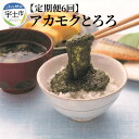 【ふるさと納税】カネリョウ海藻 今話題の海藻！フコイダンたっぷり「アカモクとろろ」（まぼろしの海藻たれ付き）セット 【定期便6回】【熊本県宇土市】 1