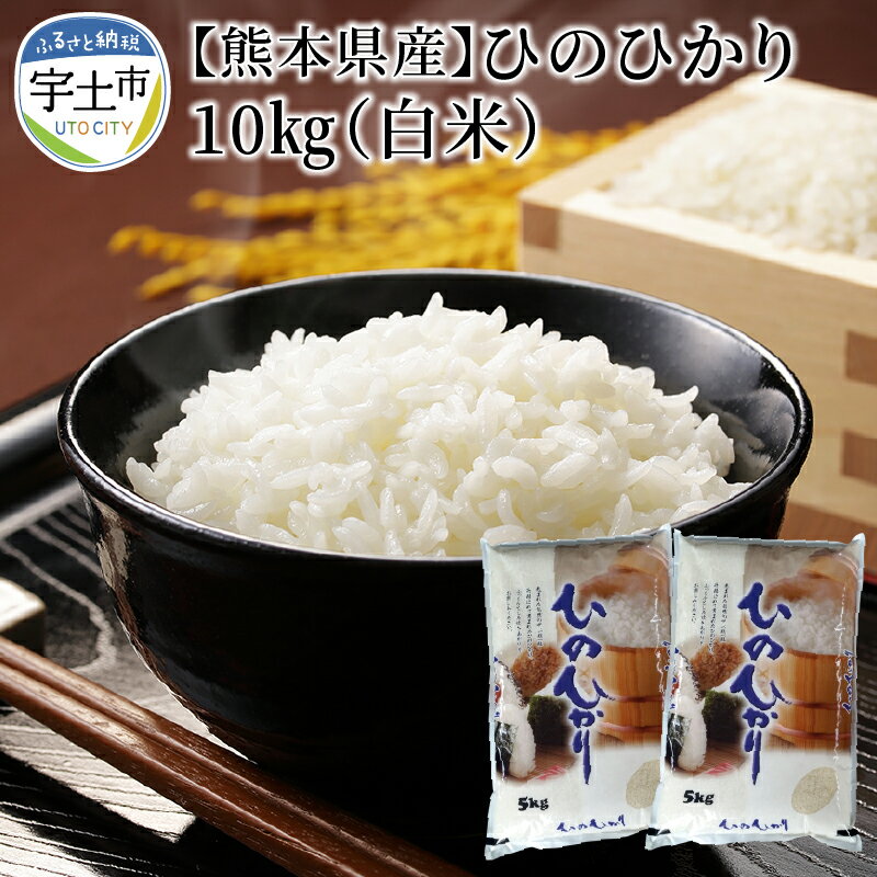 【ふるさと納税】進栄 令和4年産米 熊本県産ヒノヒカリ10kg(白米)【熊本県宇土市】