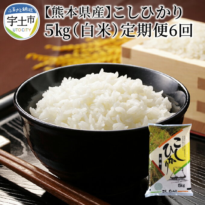 【ふるさと納税】進栄　令和3年産米　 熊本県産コシヒカリ5kg(白米)【定期便6回】...