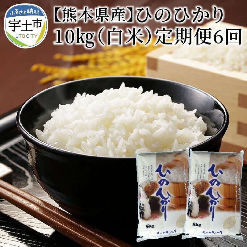 【ふるさと納税】進栄 令和2年産米 熊本県産ヒノヒカリ10kg(白米) 【定期便6回】【熊本県宇土市】