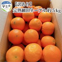 【ふるさと納税】訳あり 完熟 網田 ネーブル 約 5kg M 〜 3L 約 25玉 ジューシー 酸味 甘み バランス絶妙 国産 オレンジ 最高峰 皇室 献上品 ...