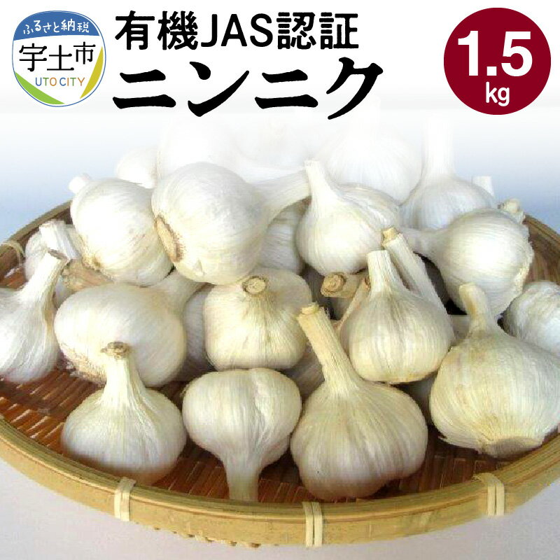 楽天熊本県宇土市【ふるさと納税】にんにく 1.5kg 国産 有機JAS認証 那須自然農園 自然農法栽培 乾燥にんにく お料理 ペペロンチーノ アヒージョ 焼にんにく 野菜 お取り寄せ お取り寄せ野菜 送料無料【熊本県宇土市】　※発送は6月からの予定です。