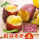 【ふるさと納税】那須自然農園 紅はるか 約 5kg さつまいも 自然農法栽培 全国環境保全型農業推進コンクール べにはるか 芋 野菜 強い甘み しっとりした 肉質 焼き芋 スイートポテト 天ぷら おかず スイーツ おやつ お取り寄せ 食品 送料無料 【熊本県宇土市】