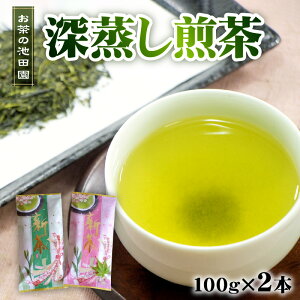 【ふるさと納税】 お茶の池田園 深蒸し煎茶100g×2本【熊本県宇土市】