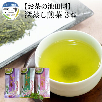 お茶の池田園 深蒸し煎茶100g×3本【熊本県宇土市】