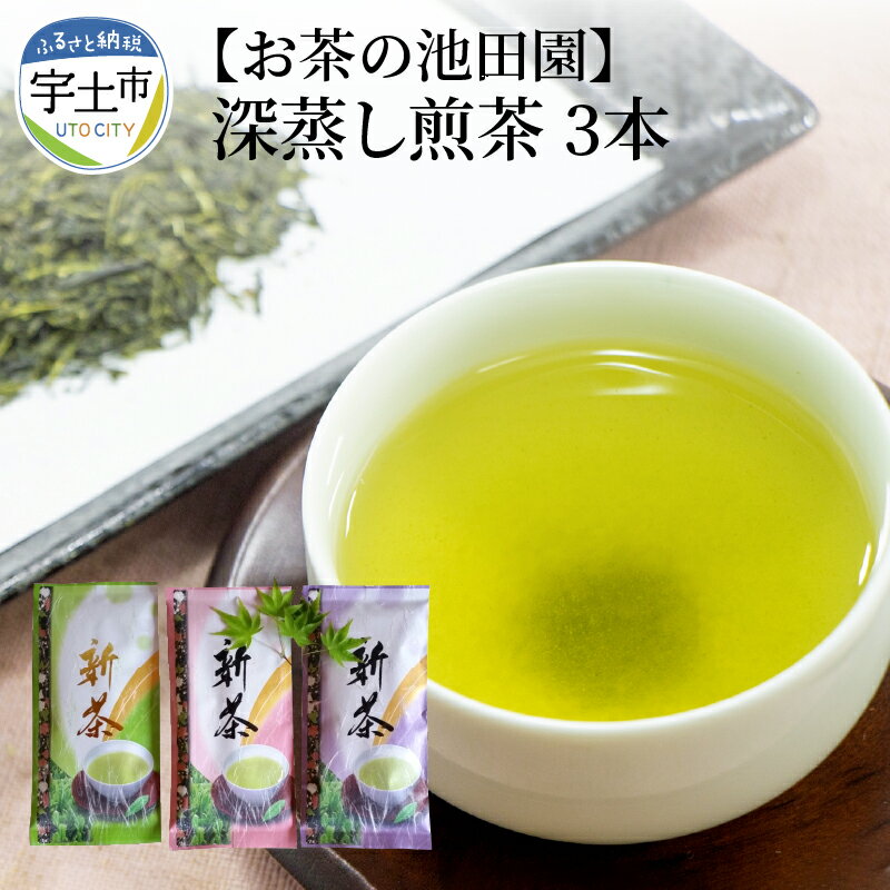  お茶の池田園 深蒸し煎茶100g×3本