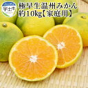 【ふるさと納税】進栄 【家庭用】極早生温州みかん 約10kg【熊本県宇土市】