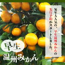 熊本県宇土市の画像3
