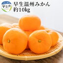 【ふるさと納税】進栄 早生温州みかん 約10kg【熊本県宇土市】