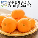 【ふるさと納税】進栄 【家庭用】早生温州みかん 約10kg【熊本県宇土市】