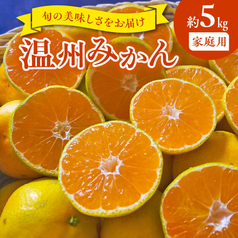 【ふるさと納税】家庭用 温州みかん 約 5kg 1箱 進栄 柑橘 果実 常温 果物 ビタミンC 豊富 みかん 旬 国産 フルーツ デザート 熊本 九州 食品 お取り寄せ お取り寄せフルーツ 送料無料【熊本県宇土市】(4)