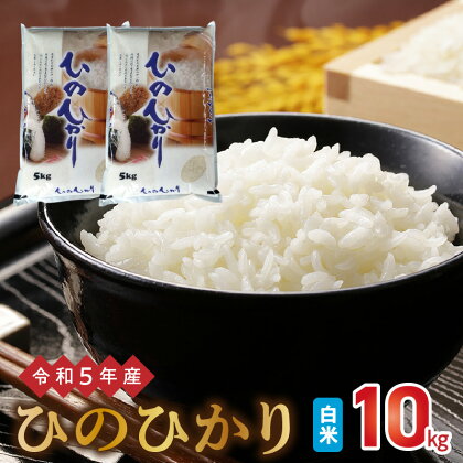 令和5年産米 ヒノヒカリ 10kg 熊本県宇土市産 冷めても美味しい 白米 進栄 食感 モチモチ 甘み ツヤ お米 食品 おにぎり お弁当 最適 ご飯 米 西日本有数の米どころ 熊本 九州 お取り寄せ 送料無料【熊本県宇土市】